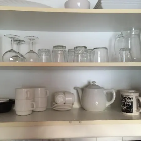 Yucca Park أذيخي